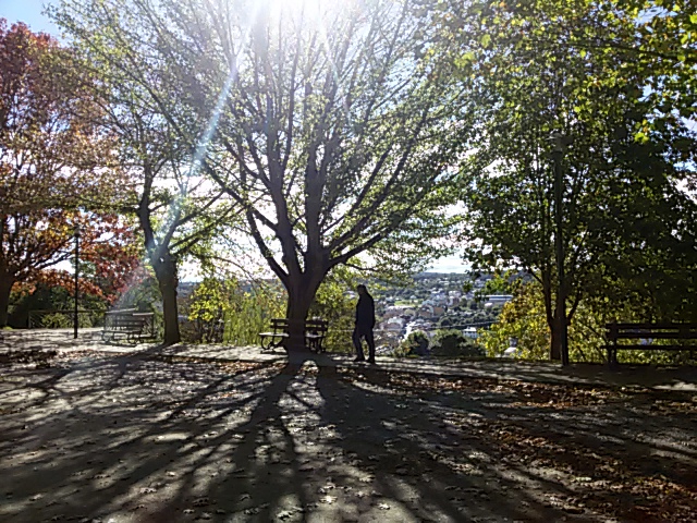 Breves apuntes sobre la INCAPACIDAD CIVIL.